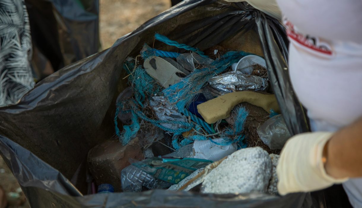 pexels-carlinhosfotografo-12316616